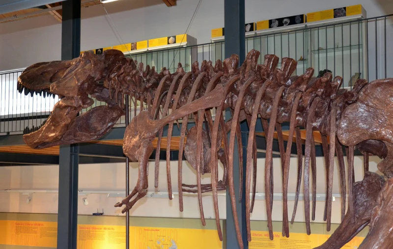 Museum of Paleoenvironments of Carbonia